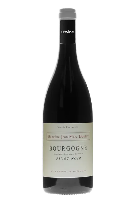 Domaine Jean-Marc et Thomas Bouley Bourgogne Côte d'Or Pinot Noir 2020