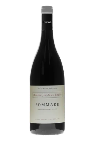 Domaine Jean-Marc et Thomas Bouley Pommard 2020