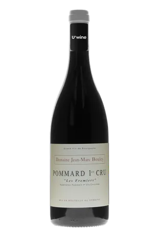 Domaine Jean-Marc et Thomas Bouley Pommard 1er Cru Les Fremiers 2019