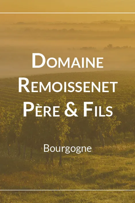 Remoissenet Père & Fils Chassagne-Montrachet 1er Cru La Maltroie - Blanc 2018