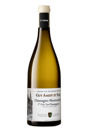 Domaine Guy Amiot Chassagne-Montrachet 1er Cru Les Champgains - Blanc 2020