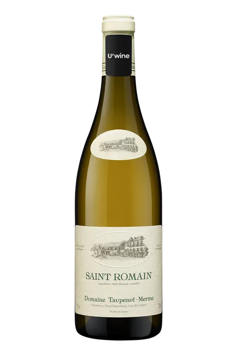 Domaine Taupenot-Merme Saint-Romain - Blanc 2020