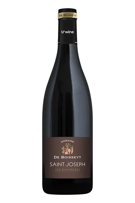 Domaine de Boisseyt Saint-Joseph Les Garipelées 2022