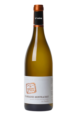 Domaine des Terres de Velle Chassagne-Montrachet La Platière - Blanc 2021