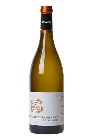 Domaine des Terres de Velle Meursault 1er Cru Les Charmes - Blanc 2020