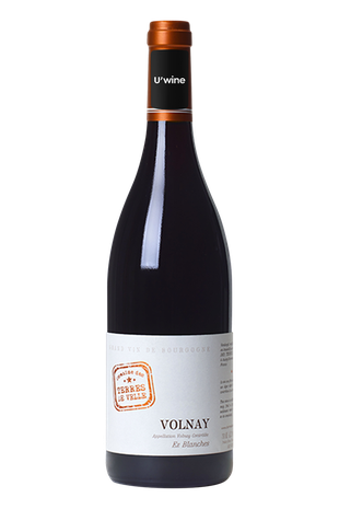 Domaine des Terres de Velle Volnay Ez Blanches 2021