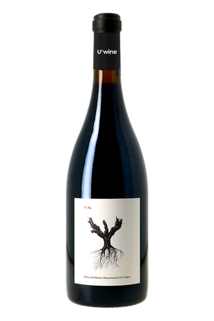 Dominio de Pingus Ribera del Duero Psi 2019
