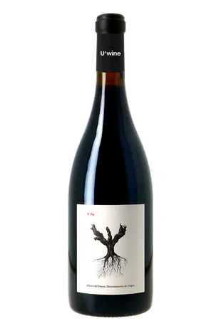 Dominio de Pingus Ribera del Duero Psi 2019