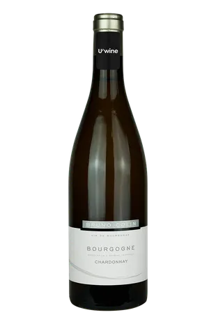 Domaine Bruno Colin Bourgogne Chardonnay - White 2017