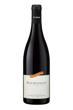 Domaine David Duband Bourgogne 2022