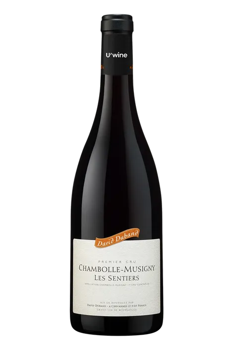 Domaine David Duband Chambolle-Musigny 1er Cru Les Sentiers 2020