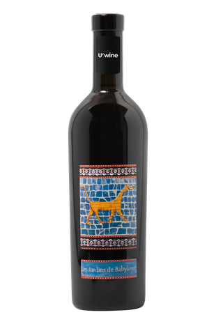 Domaine Didier Dagueneau Vin de France Jardins de Babylone Moelleux - Blanc 2019