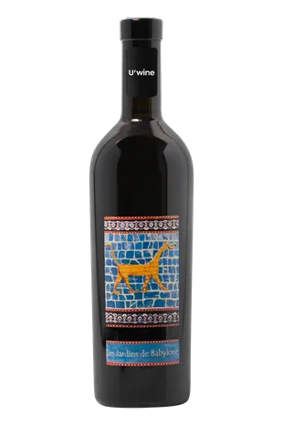 Domaine Didier Dagueneau Vin de France Jardins de Babylone Moelleux - Blanc 2019
