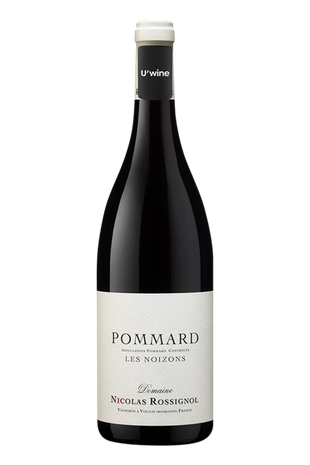 Domaine Nicolas Rossignol Pommard Les Petits Noizons 2019
