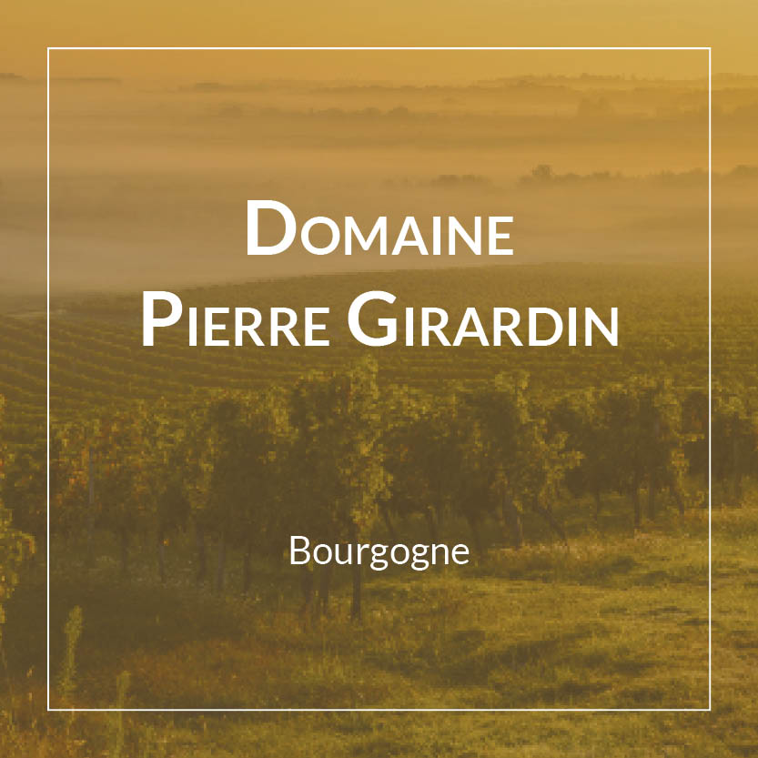 Domaine Pierre Girardin Meursault Les Tillets - Blanc 2020