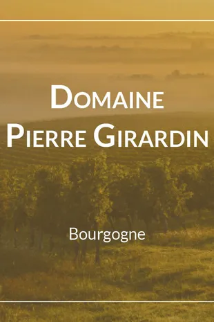 Domaine Pierre Girardin Pommard 1er Cru Les Grands Epenots 2020