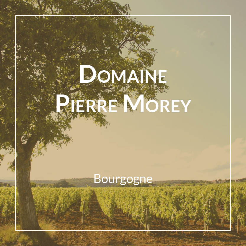 Domaine Pierre Morey Meursault Les Tessons - Blanc 2020