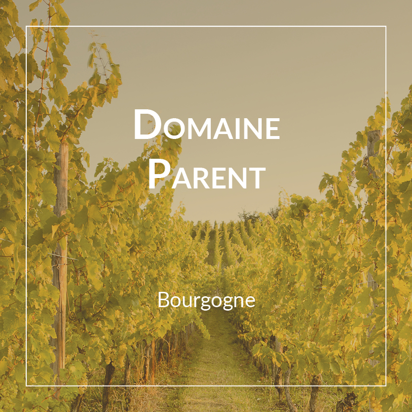 Domaine Parent Pommard 1er Cru Croix Noires 2022