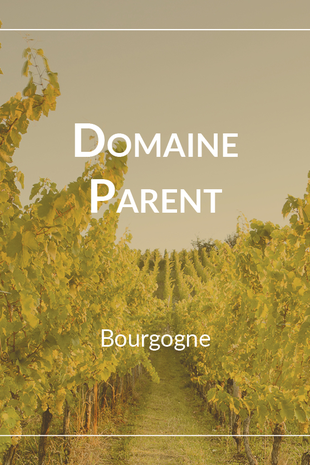 Domaine Parent Pommard 1er Cru Croix Noires 2022