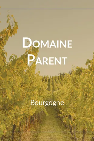 Domaine Parent Pommard 1er Cru Croix Noires 2022