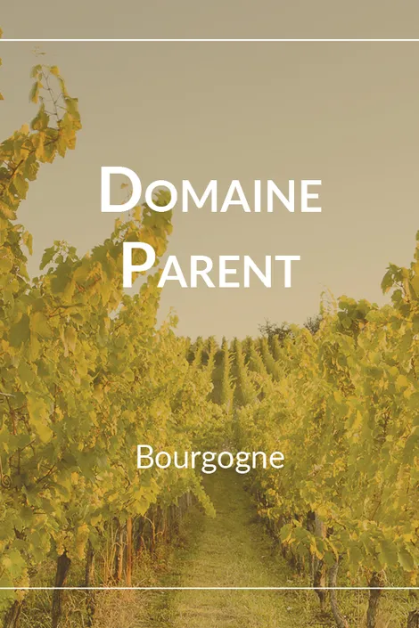 Domaine Parent Pommard 1er Cru Croix Noires 2018