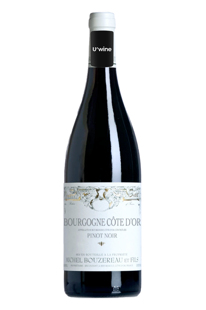 Domaine Michel Bouzereau Bourgogne Pinot Noir 2019
