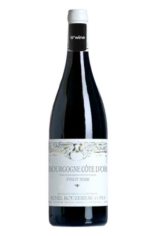 Domaine Michel Bouzereau Bourgogne Pinot Noir 2019