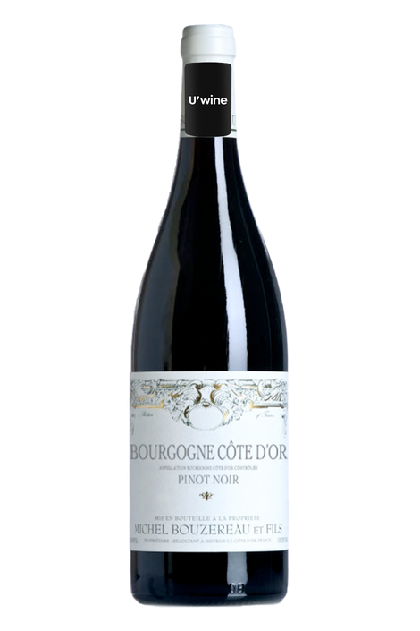 Domaine Michel Bouzereau Bourgogne Pinot Noir 2019
