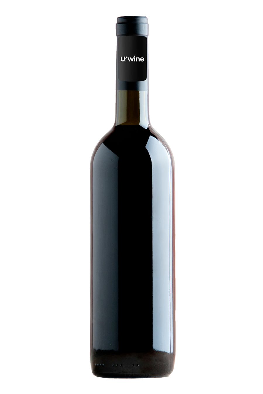 Remoissenet Père & Fils Santenay 1er Cru Les Gravières 2018