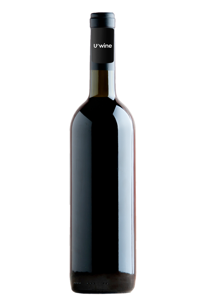 Remoissenet Père & Fils Santenay 1er Cru Les Gravières 2018
