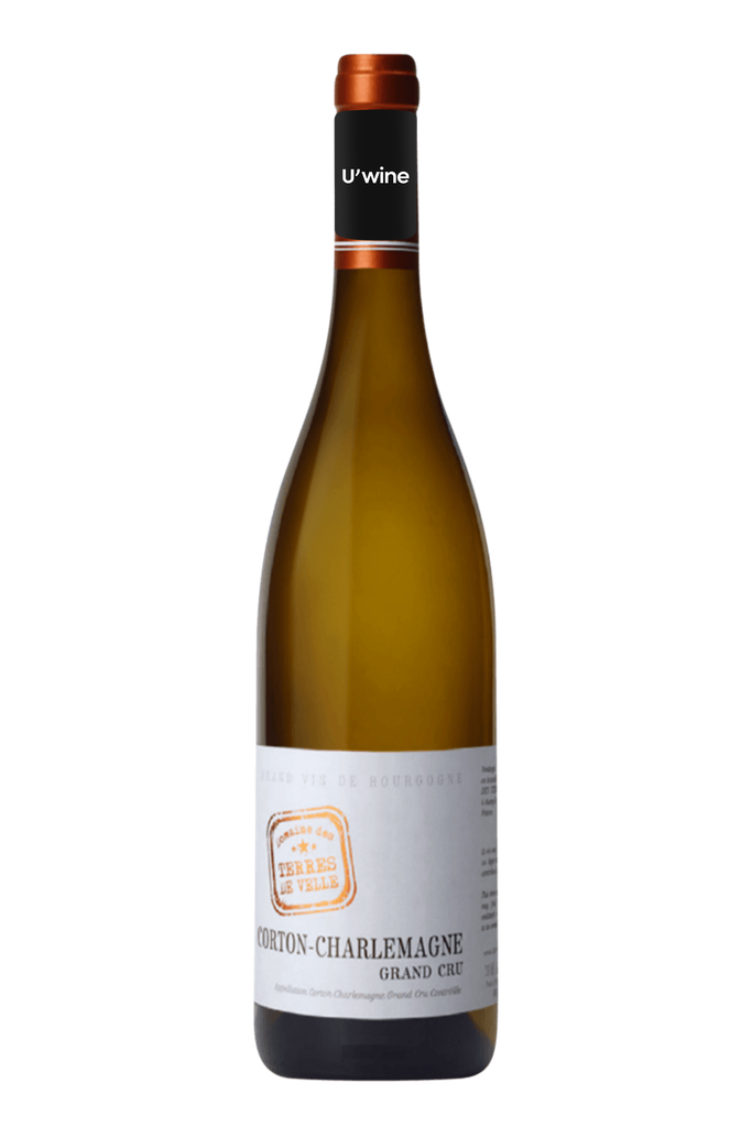 Domaine des Terres de Velle Corton-Charlemagne - Blanc 2019