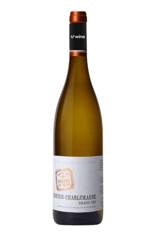 Domaine des Terres de Velle Corton-Charlemagne - White 2019