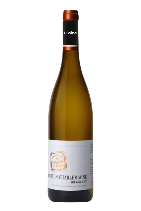 Domaine des Terres de Velle Corton-Charlemagne - White 2019
