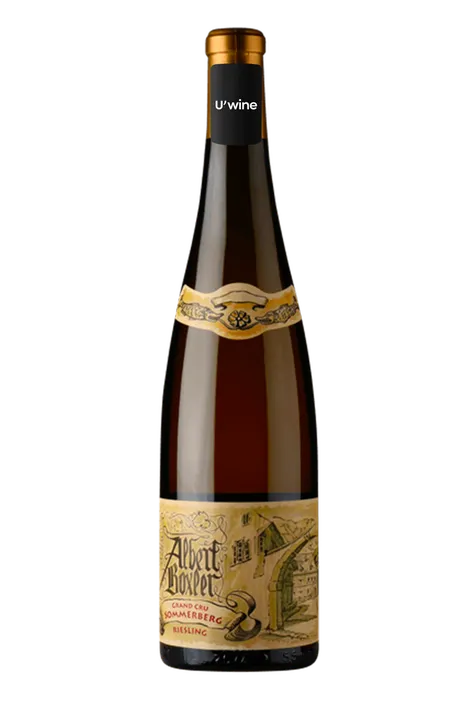 Domaine Albert Boxler Alsace Grand Cru Riesling Sommerberg "Jeunes Vignes" - White 2020