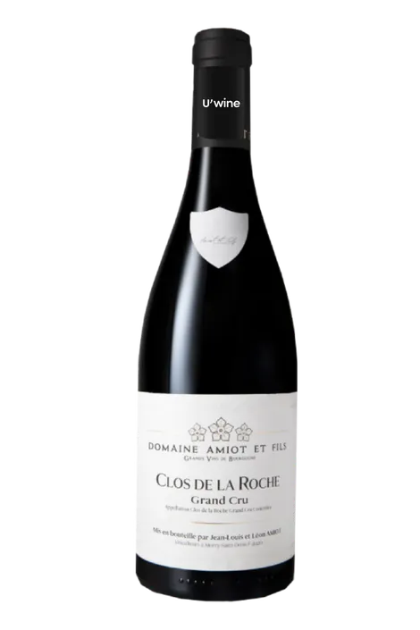 Domaine Amiot et Fils Clos de la Roche 2021