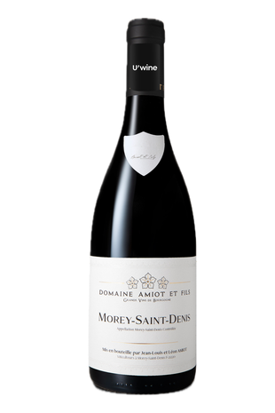 Domaine Léon Amiot Morey-Saint-Denis 2021