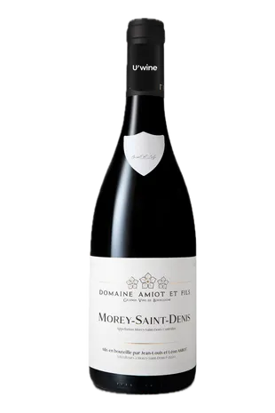 Domaine Léon Amiot Morey-Saint-Denis 2021