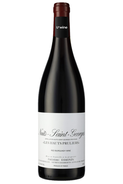 Domaine Frédéric Esmonin Nuits-Saint-Georges 1er Cru Les Hauts Pruliers 2019