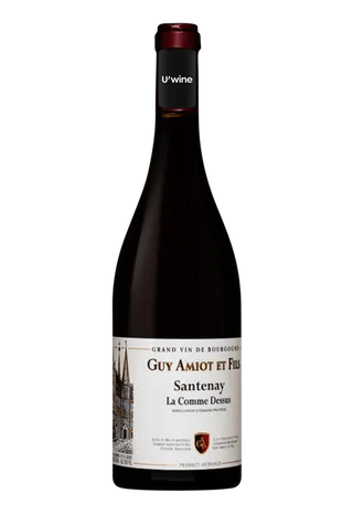 Domaine Guy Amiot Santenay La Comme Dessus 2020