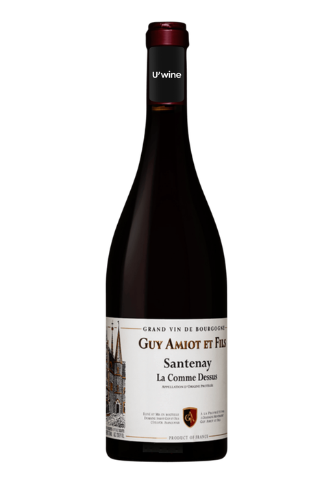 Domaine Guy Amiot Santenay La Comme Dessus 2020