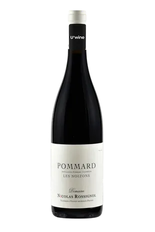 Domaine Nicolas Rossignol Pommard Les Noizons 2020