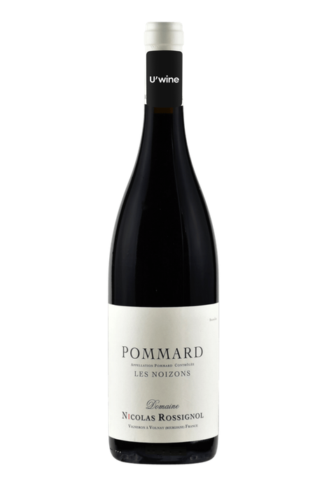 Domaine Nicolas Rossignol Pommard Les Noizons 2020