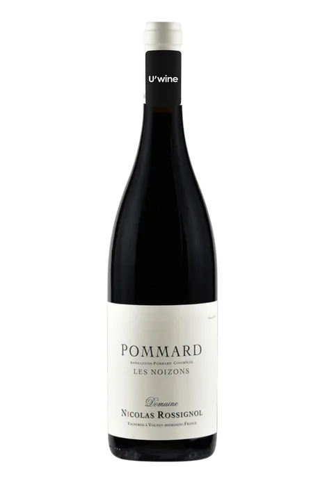 Domaine Nicolas Rossignol Pommard Les Noizons 2020