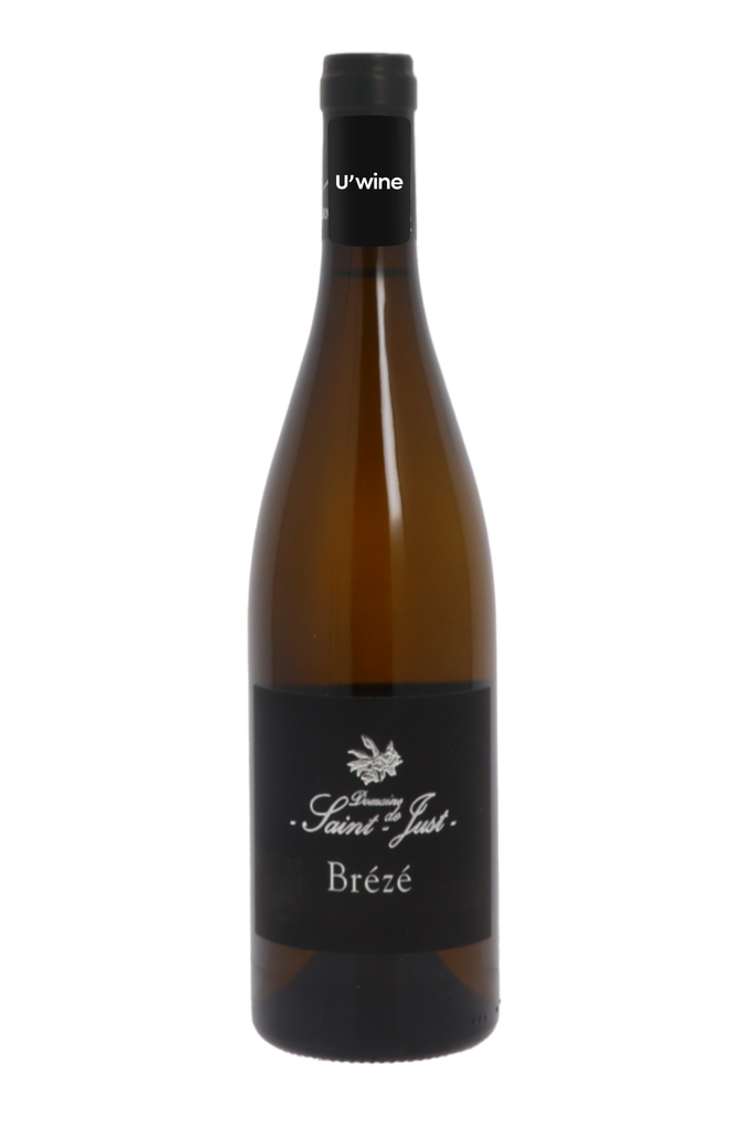 Domaine Arnaud Lambert Saumur Brézé Bourguenne - Blanc 2019