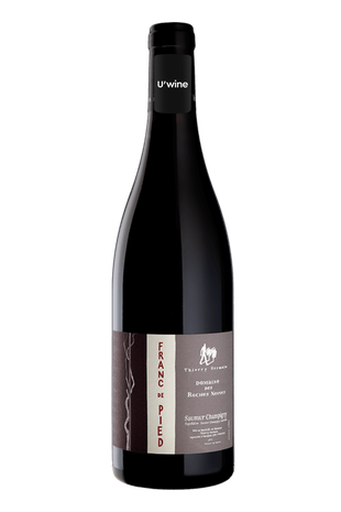 Domaine Des Roches Neuves Franc De Pied Saumur Champigny 2022