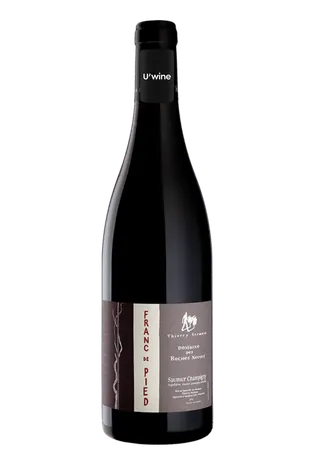 Domaine Des Roches Neuves Franc De Pied Saumur Champigny 2022
