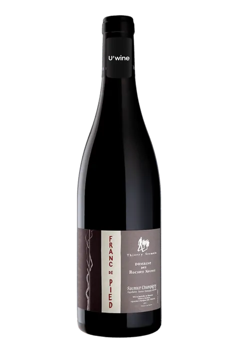 Domaine Des Roches Neuves Franc De Pied Saumur Champigny 2022