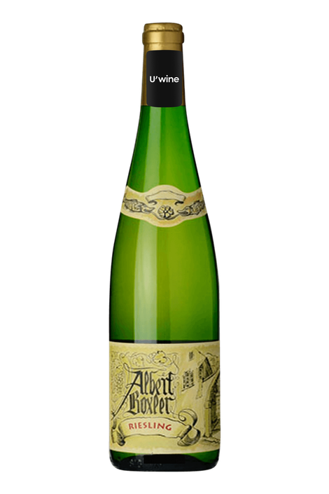 Domaine Albert Boxler Alsace Riesling - Blanc 2021