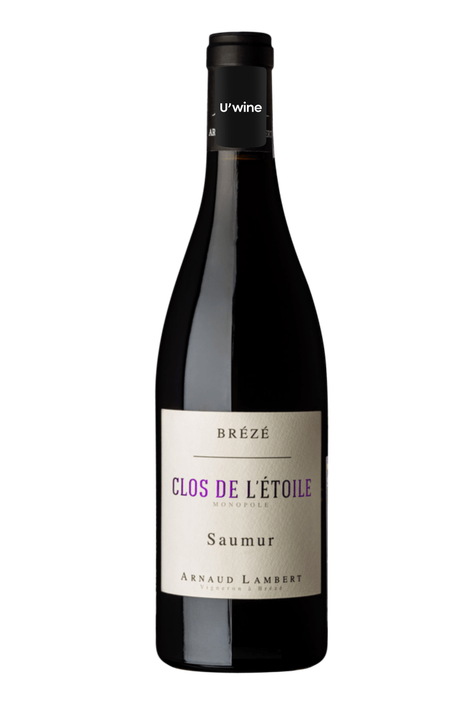 Domaine Arnaud Lambert Saumur Brézé Clos de L'Etoile 2019