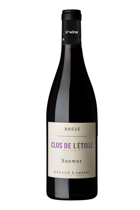Domaine Arnaud Lambert Saumur Brézé Clos de L'Etoile 2019